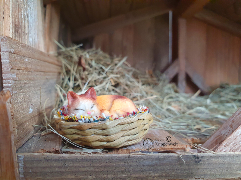 ein Kätzchen im Korb als Krippenfiguren