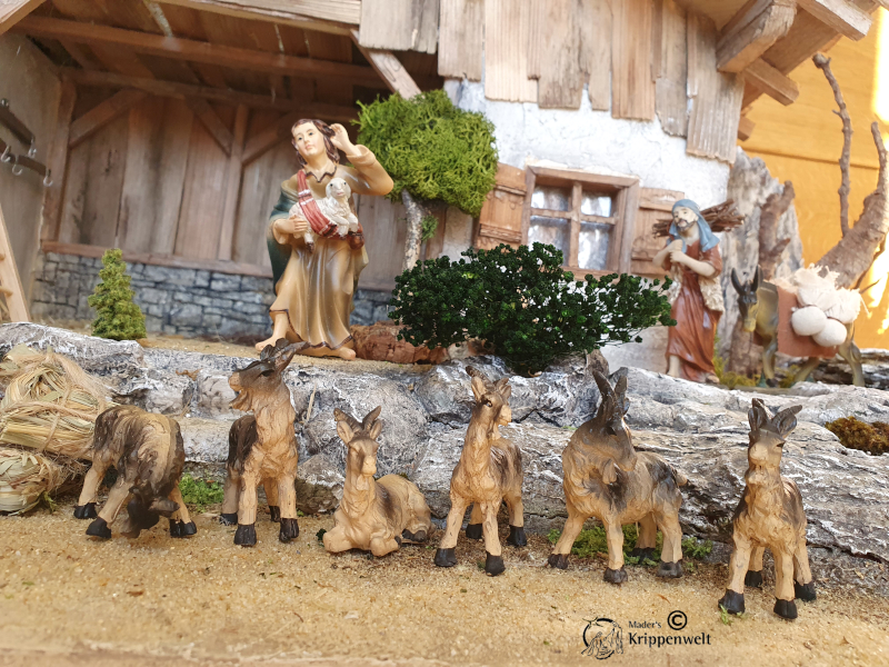 klicken um großes Bild anzuzeigen Krippenfiguren aus Polystone - Ziegen
