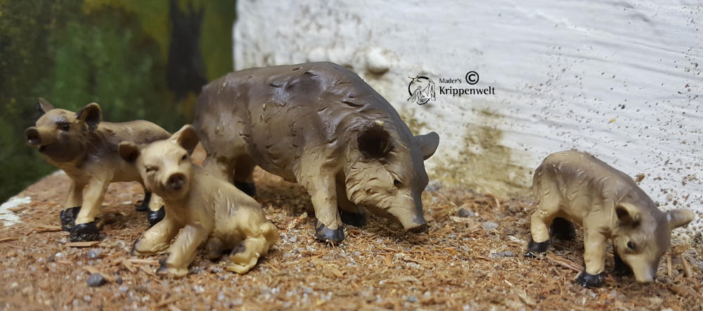 Wildschweinfamilie als Krippentiere für ihre Weihnachtskrippe