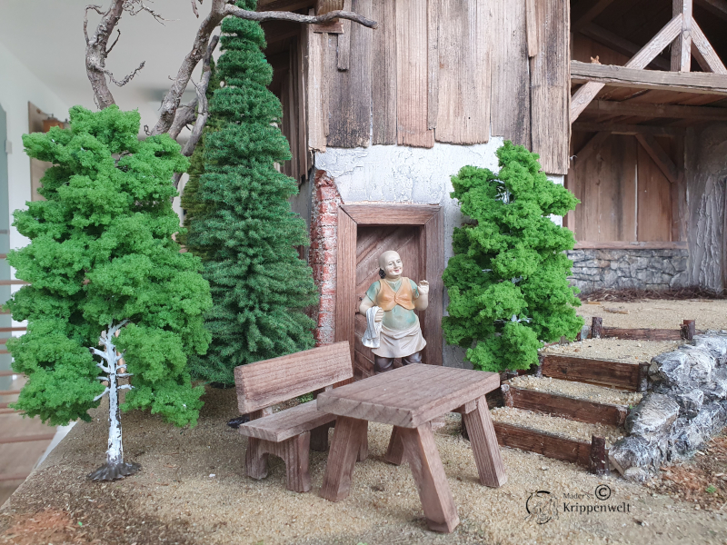 klicken um großes Bild anzuzeigen schöne Birken für ihre Krippenbotanik