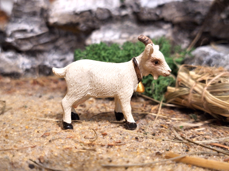 Artikel anzeigen Tiere – Zicklein