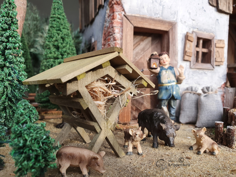 Wildschweinfamilie als Krippentiere für ihre Weihnachtskrippe