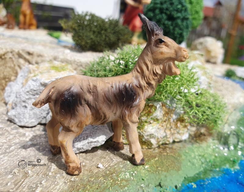 Artikel anzeigen eine Ziege stehend als Krippenfigur aus Kunstharz