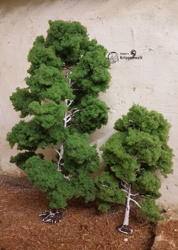 klicken um großes Bild anzuzeigen schöne Birken für ihre Krippenbotanik