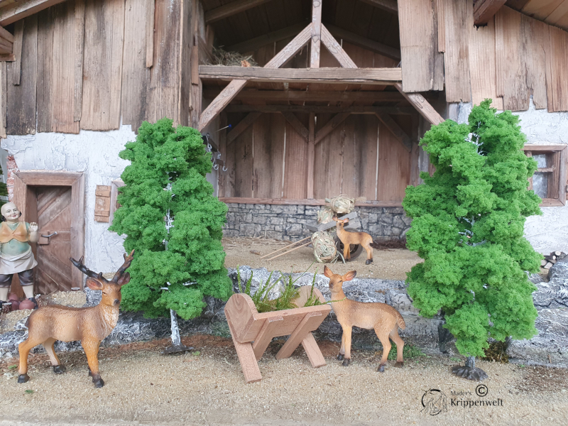 klicken um großes Bild anzuzeigen schöne Birken für ihre Krippenbotanik