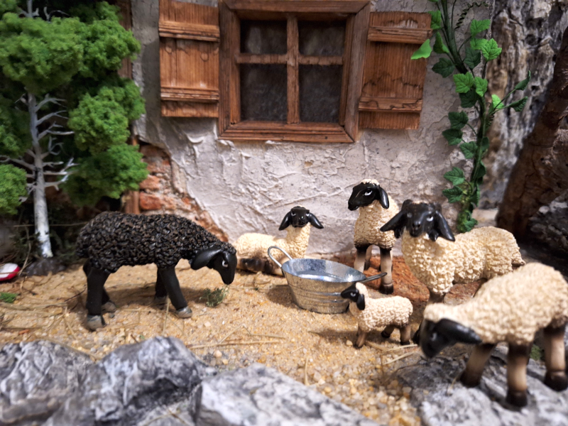 Artikel anzeigen Tiere - Schafe 6-teilig